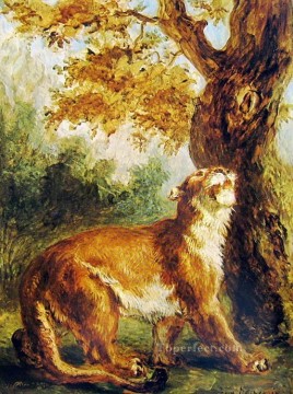 虎 Painting - プーマ 1859 ユージーン・ドラクロワ